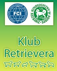 Klub retrievera